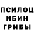 Галлюциногенные грибы Magic Shrooms Lana Carik