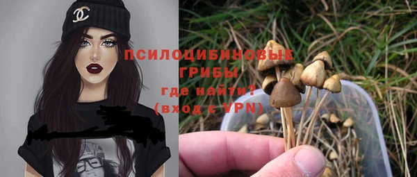 кристаллы Абаза