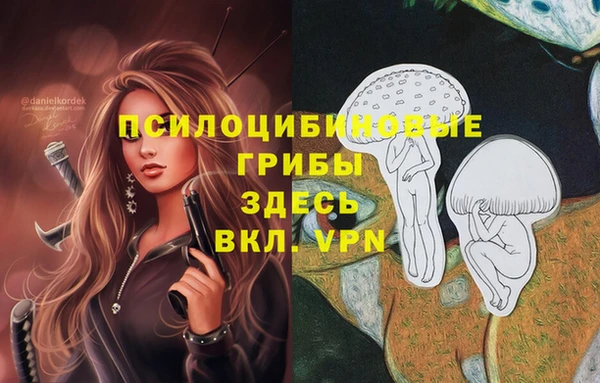 ГАЛЛЮЦИНОГЕННЫЕ ГРИБЫ Алзамай