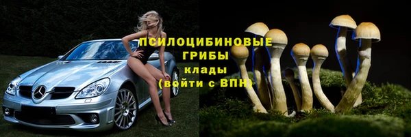 бутират Алексеевка