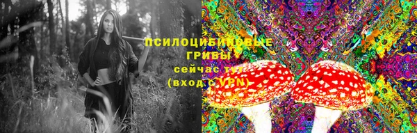 ГАЛЛЮЦИНОГЕННЫЕ ГРИБЫ Алзамай