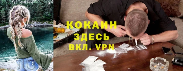 spice Алексин
