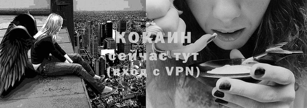 спиды Абинск