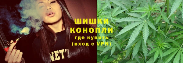 spice Алексин