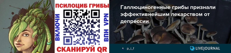 Псилоцибиновые грибы мицелий  Сухиничи 